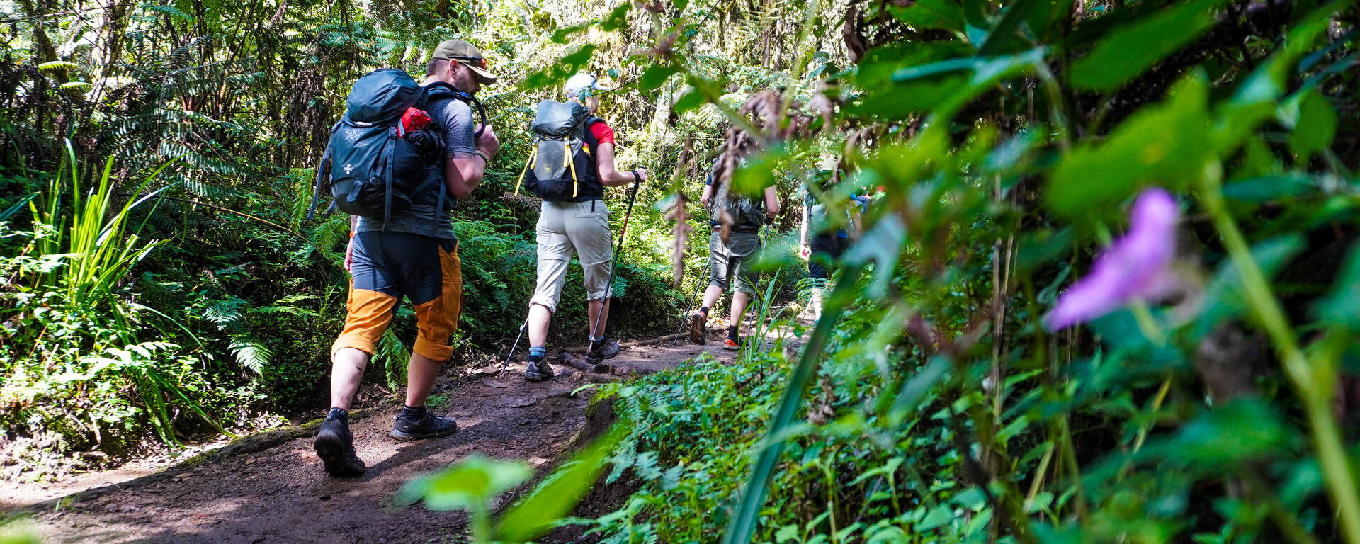 7-Day Kilimanjaro Lemosho Route Climb