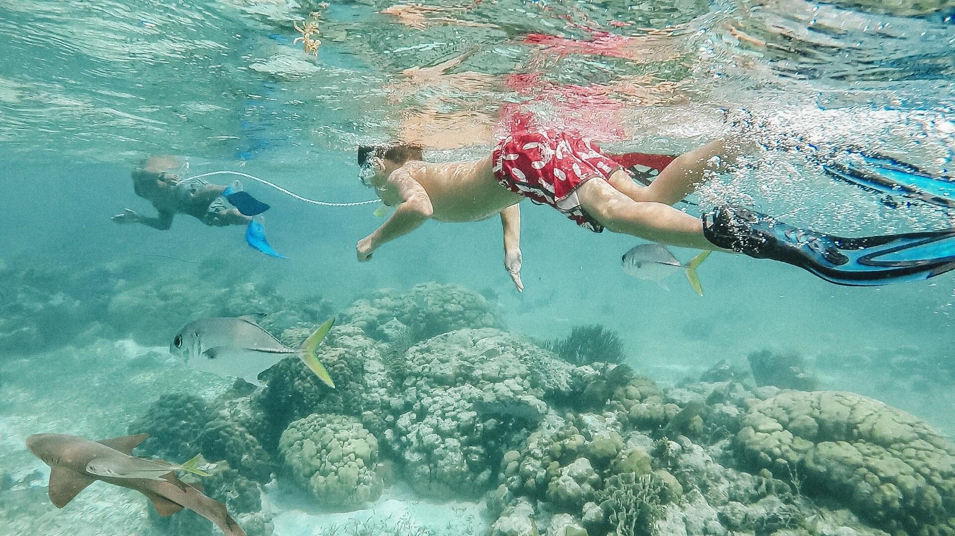 3-Day Zanzibar Stone Town and Beach Escape