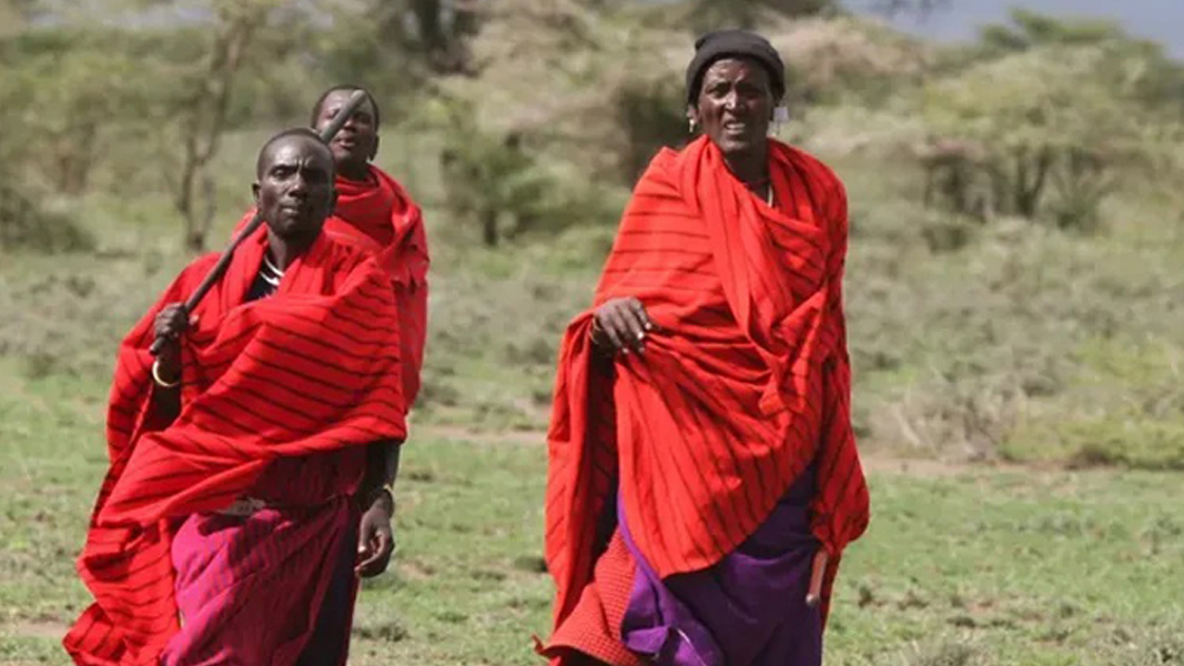 4-Day Usambara Mountain Trekking and Culture Tour