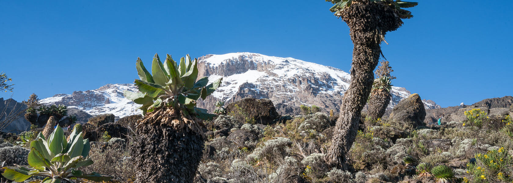 6-Day Kilimanjaro Marangu Route Private Climb