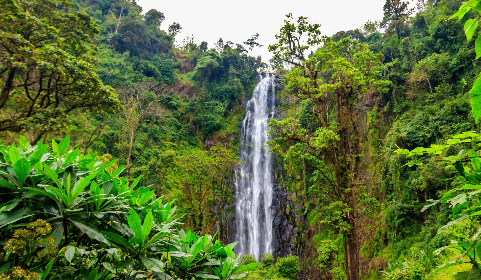 Waterfalls