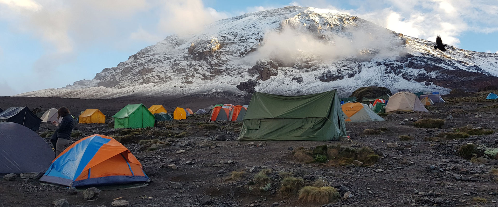 9-Day Kilimanjaro Northern Circuit Trek